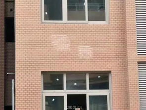 從南充房屋外墻鼓泡看農民工匠擔當的缺失